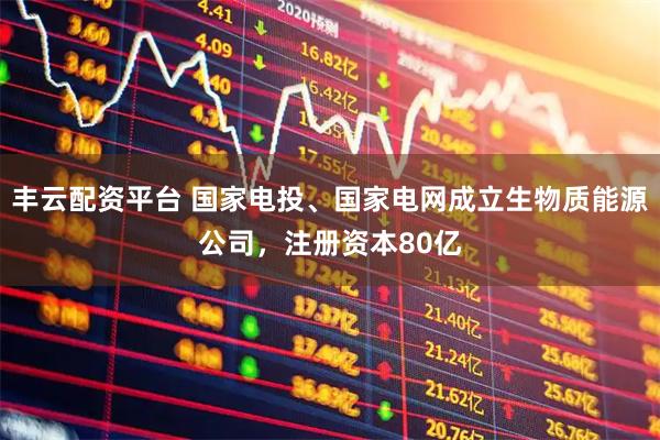 丰云配资平台 国家电投、国家电网成立生物质能源公司，注册资本80亿