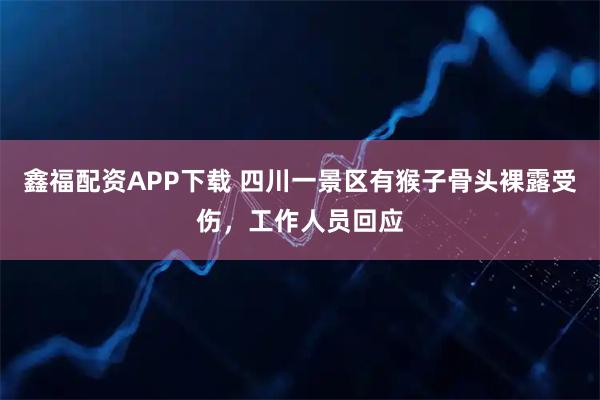鑫福配资APP下载 四川一景区有猴子骨头裸露受伤，工作人员回应