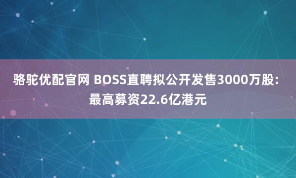 骆驼优配官网 BOSS直聘拟公开发售3000万股: 最高募资22.6亿港元