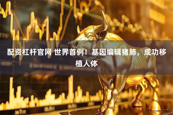 配资杠杆官网 世界首例！基因编辑猪肺，成功移植人体