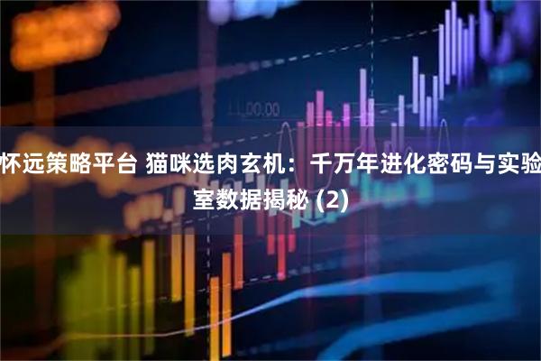 怀远策略平台 猫咪选肉玄机：千万年进化密码与实验室数据揭秘 (2)
